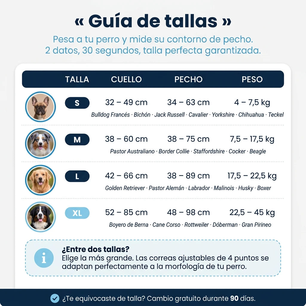 Calvea™ - Arnés antitirones