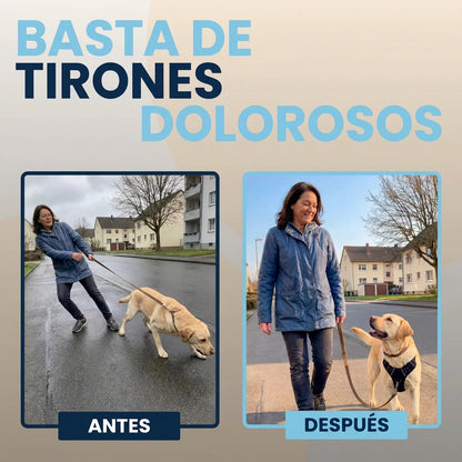Calvea™ - Arnés antitirones