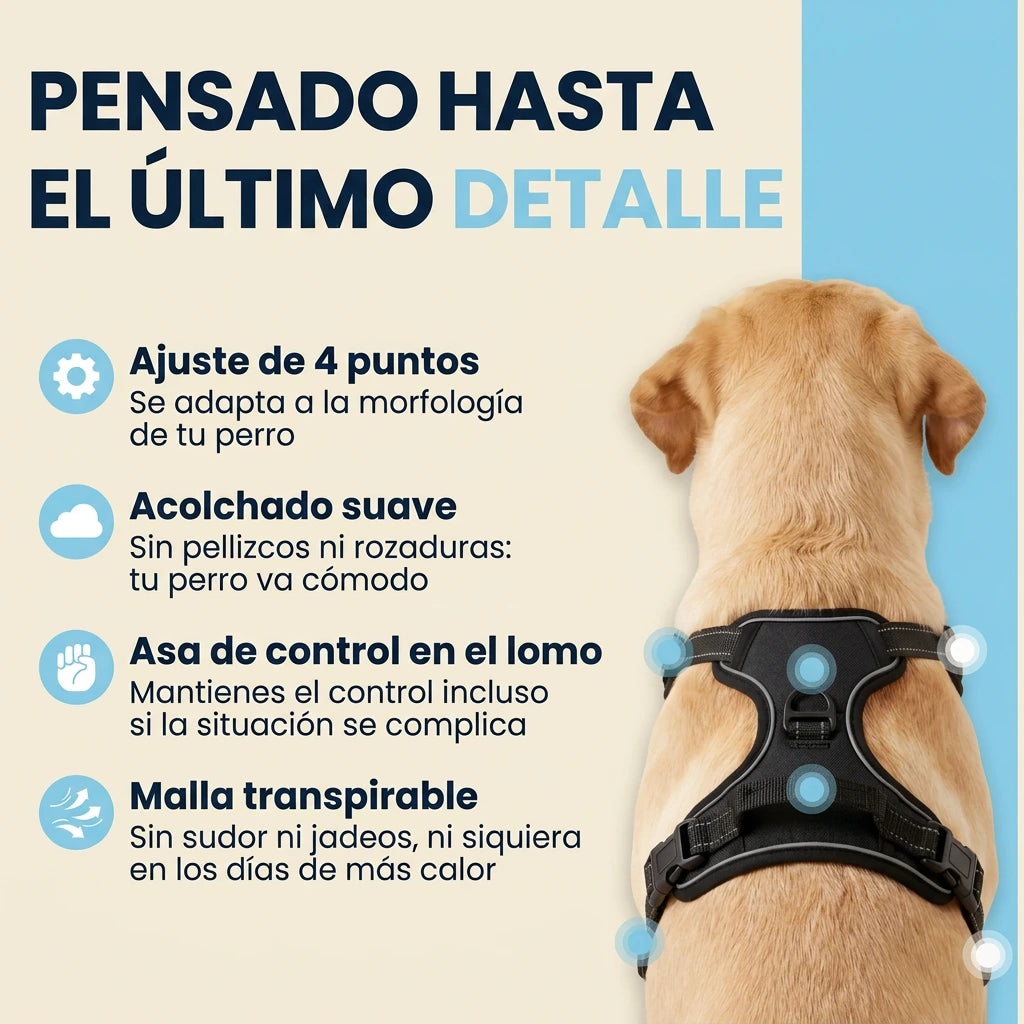 Calvea™ - Arnés antitirones