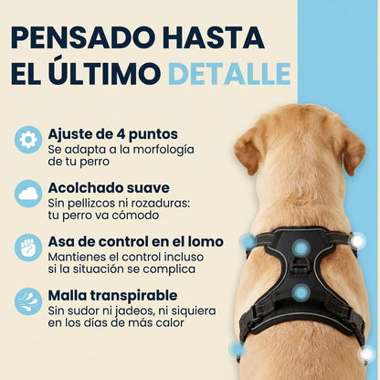 Calvea™ - Arnés antitirones