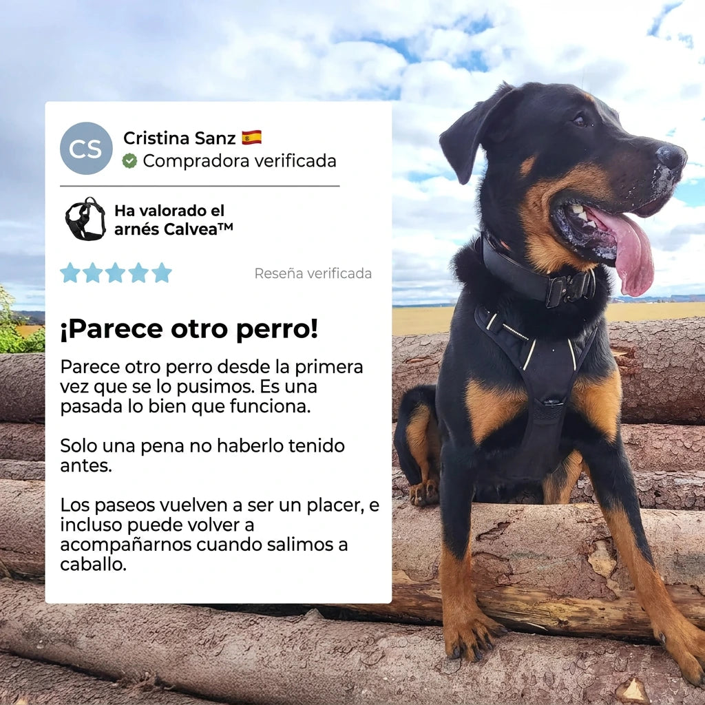 Calvea™ - Arnés antitirones