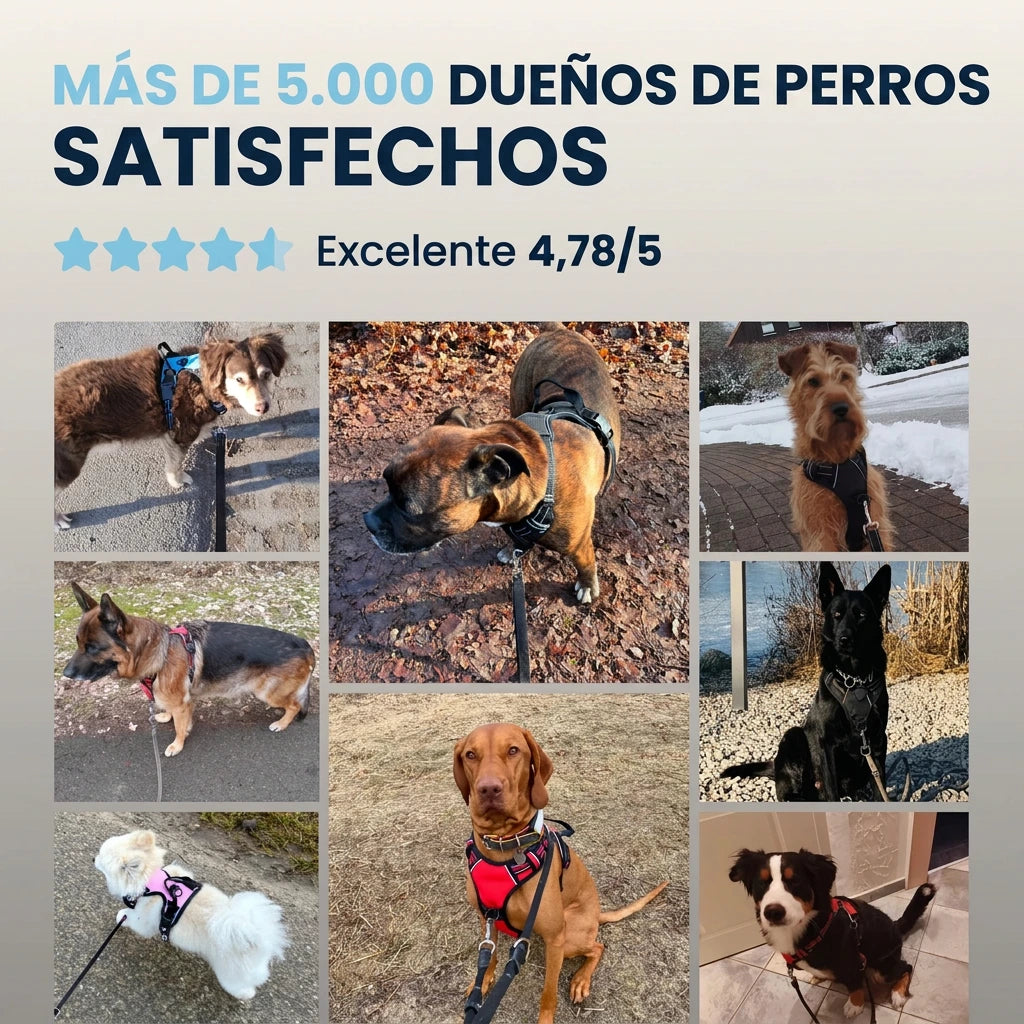 Calvea™ - Arnés antitirones