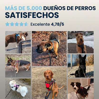 Calvea™ - Arnés antitirones