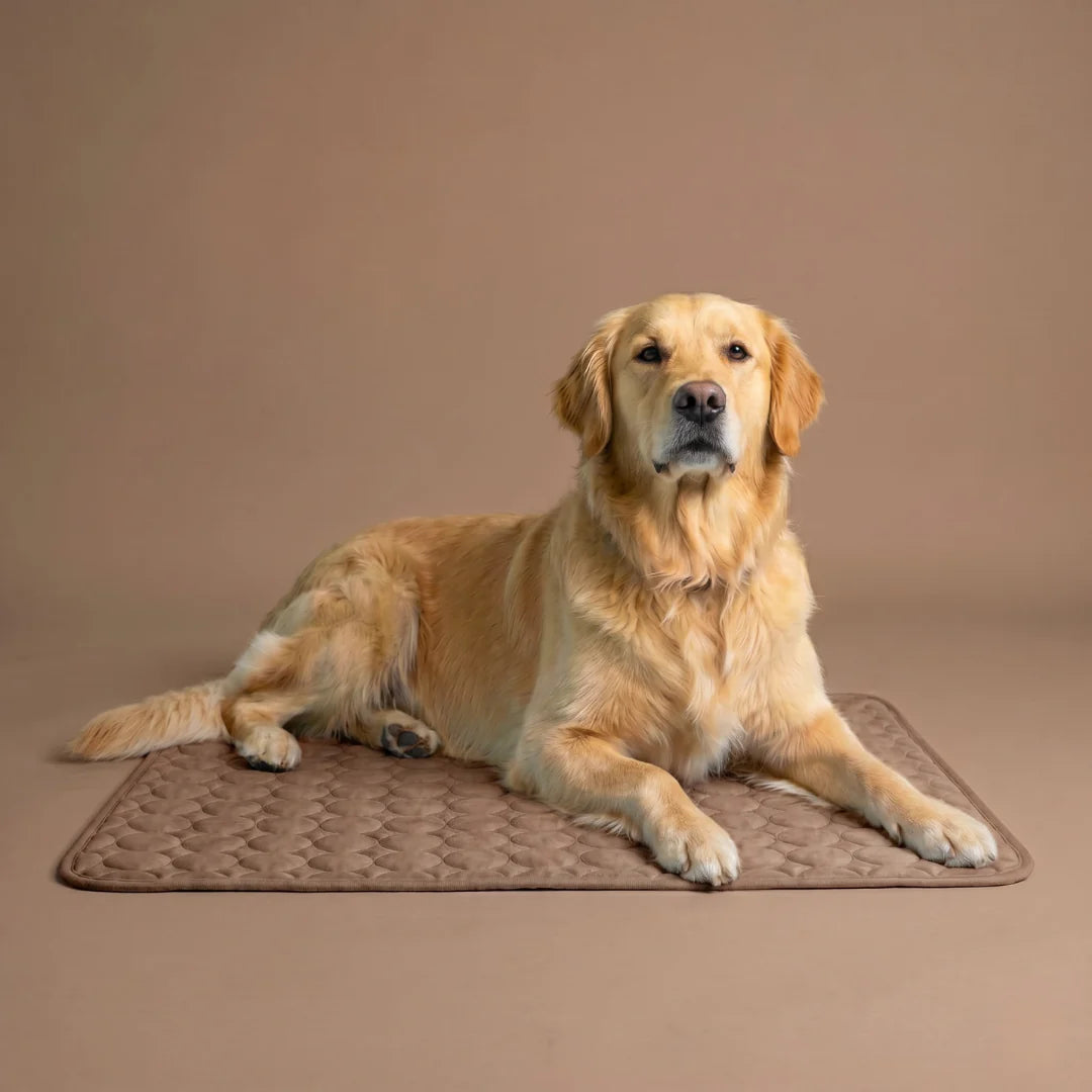 Frizon™ - Alfombrilla refrescante para perros