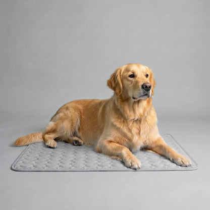 Frizon™ - Alfombrilla refrescante para perros