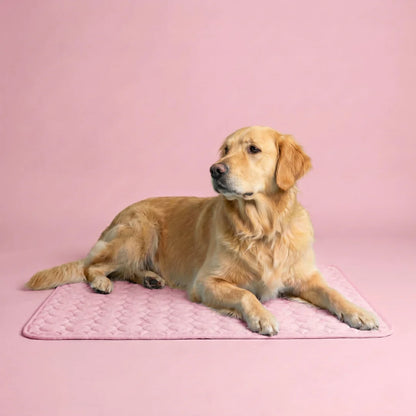 Frizon™ - Alfombrilla refrescante para perros