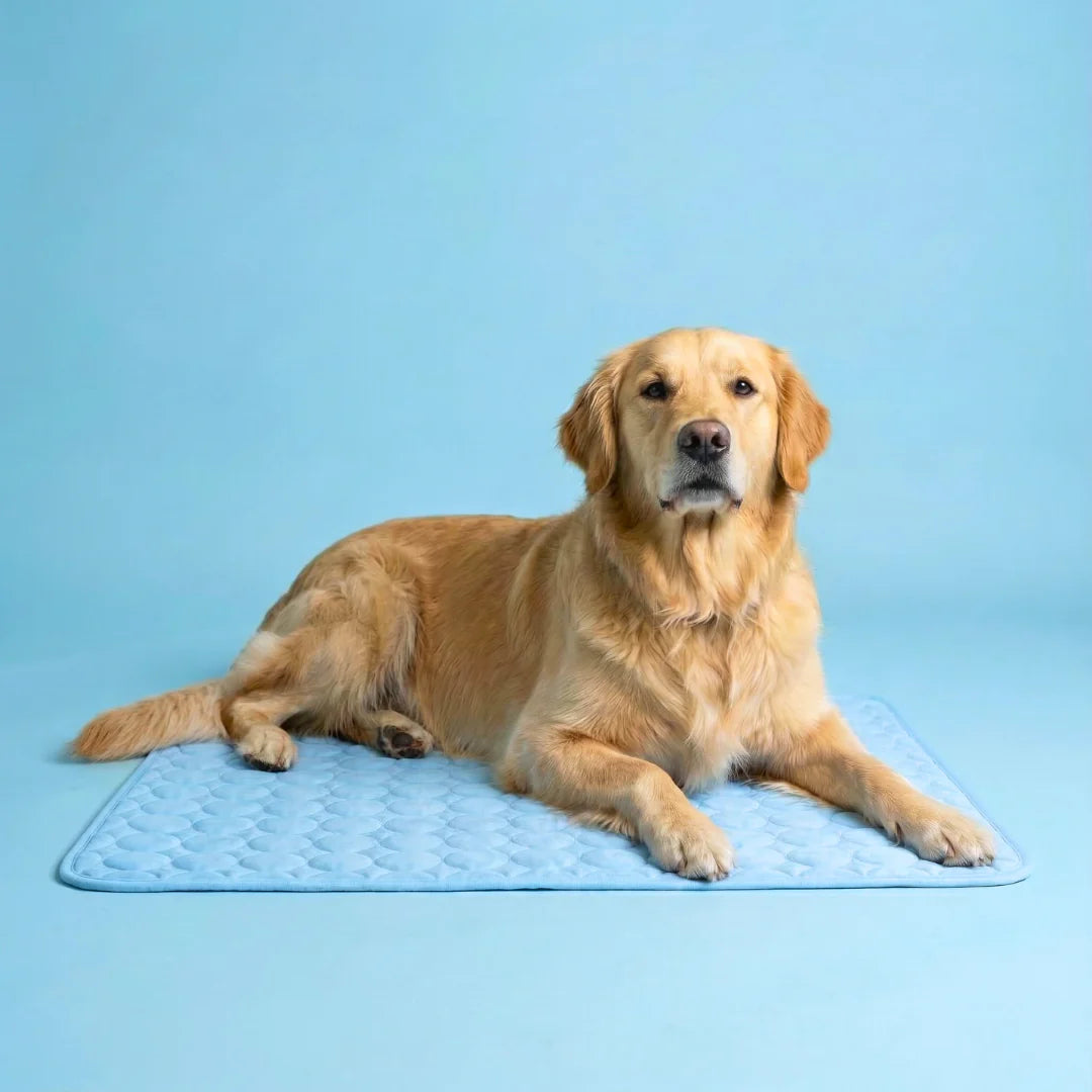 Frizon™ - Alfombrilla refrescante para perros