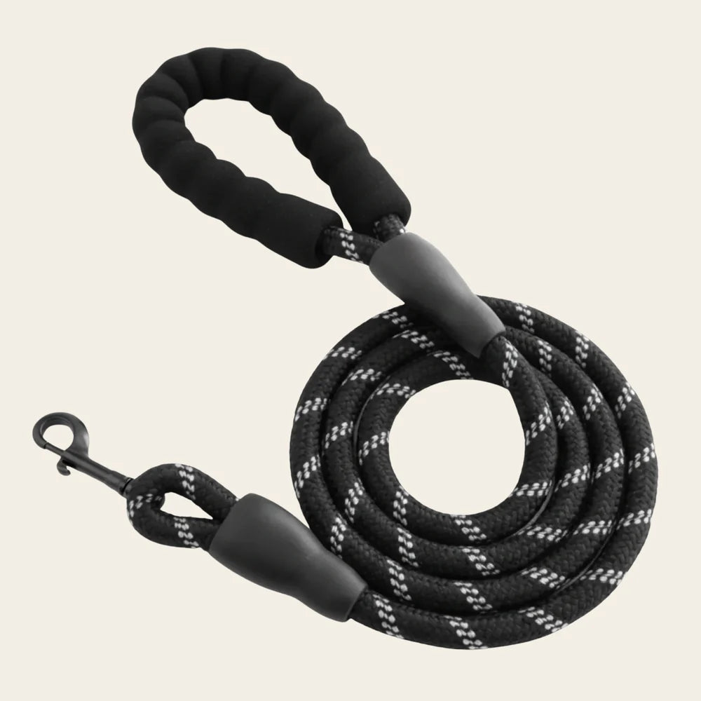 Camina™ - Correa para perro de alta calidad (1,5 m)