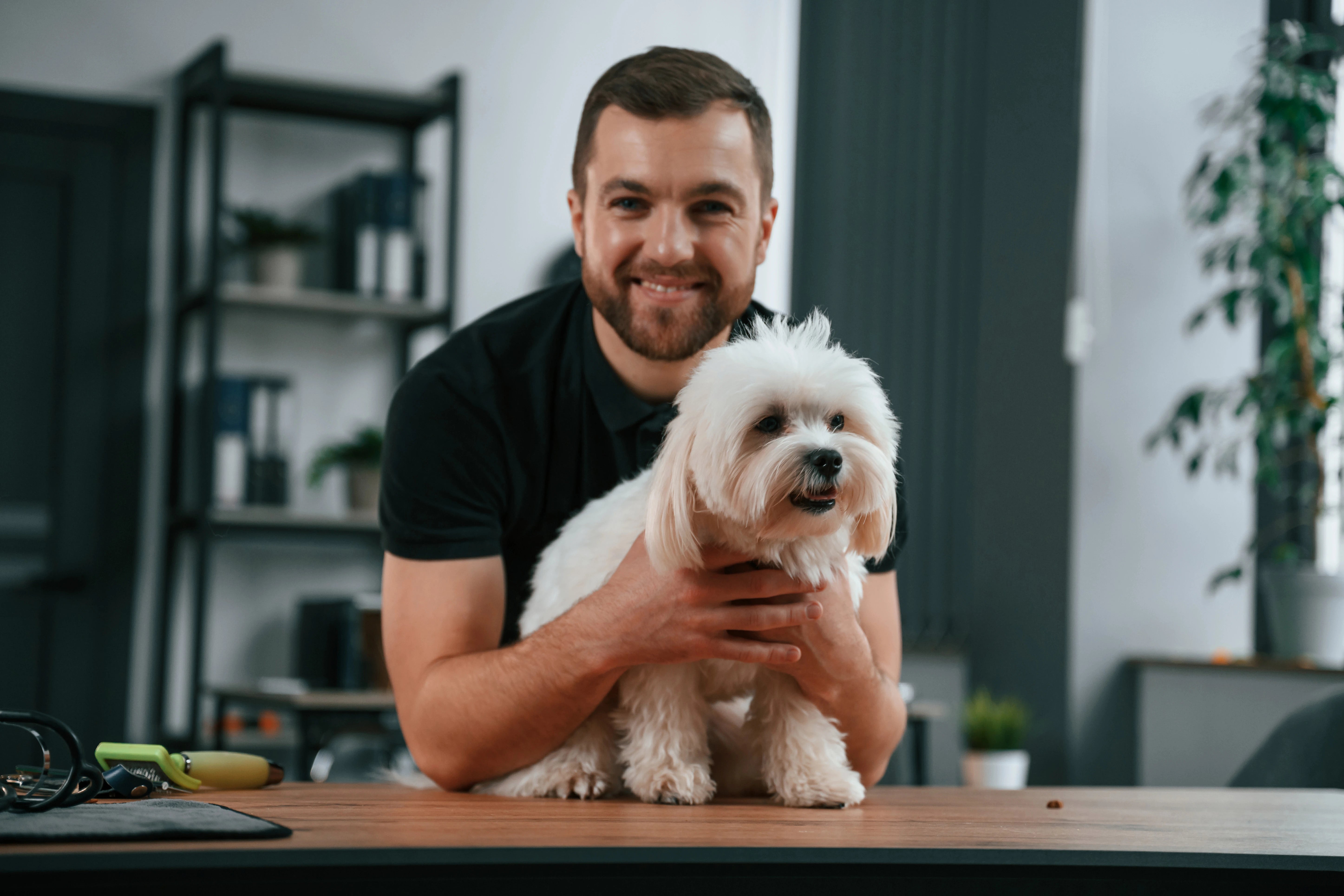files/animal-is-table-groomer-is-with-maltese-dog-indoors-man-is-black-uniform.webp