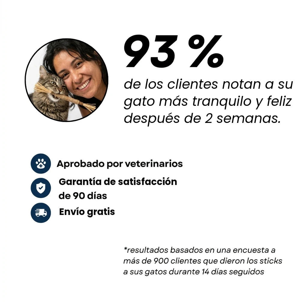El 93 % de los gatos, más tranquilos en 2 semanas