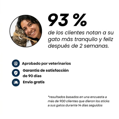 El 93 % de los gatos, más tranquilos en 2 semanas