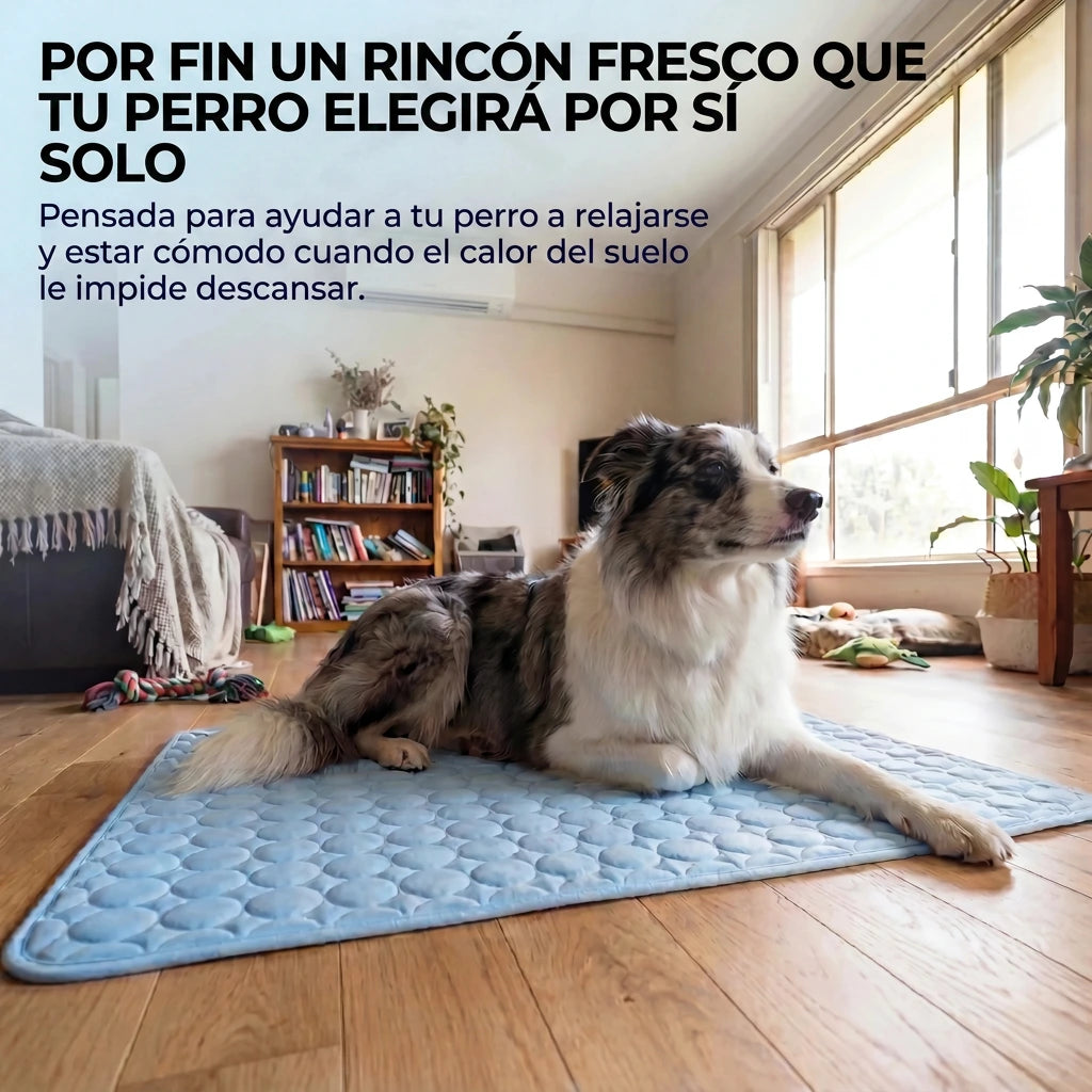 Frizon™ - Alfombrilla refrescante para perros