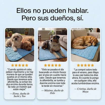 Frizon™ - Alfombrilla refrescante para perros