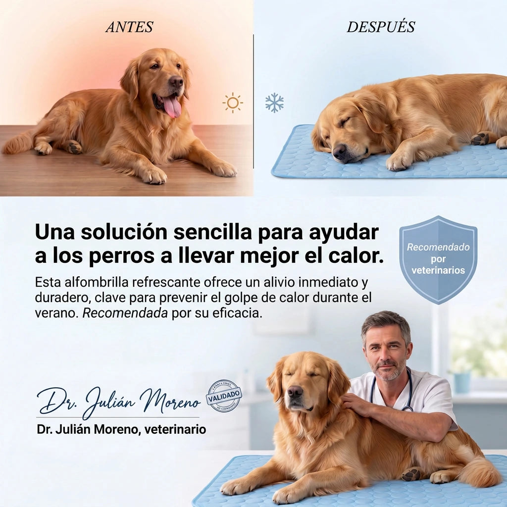 Frizon™ - Alfombrilla refrescante para perros