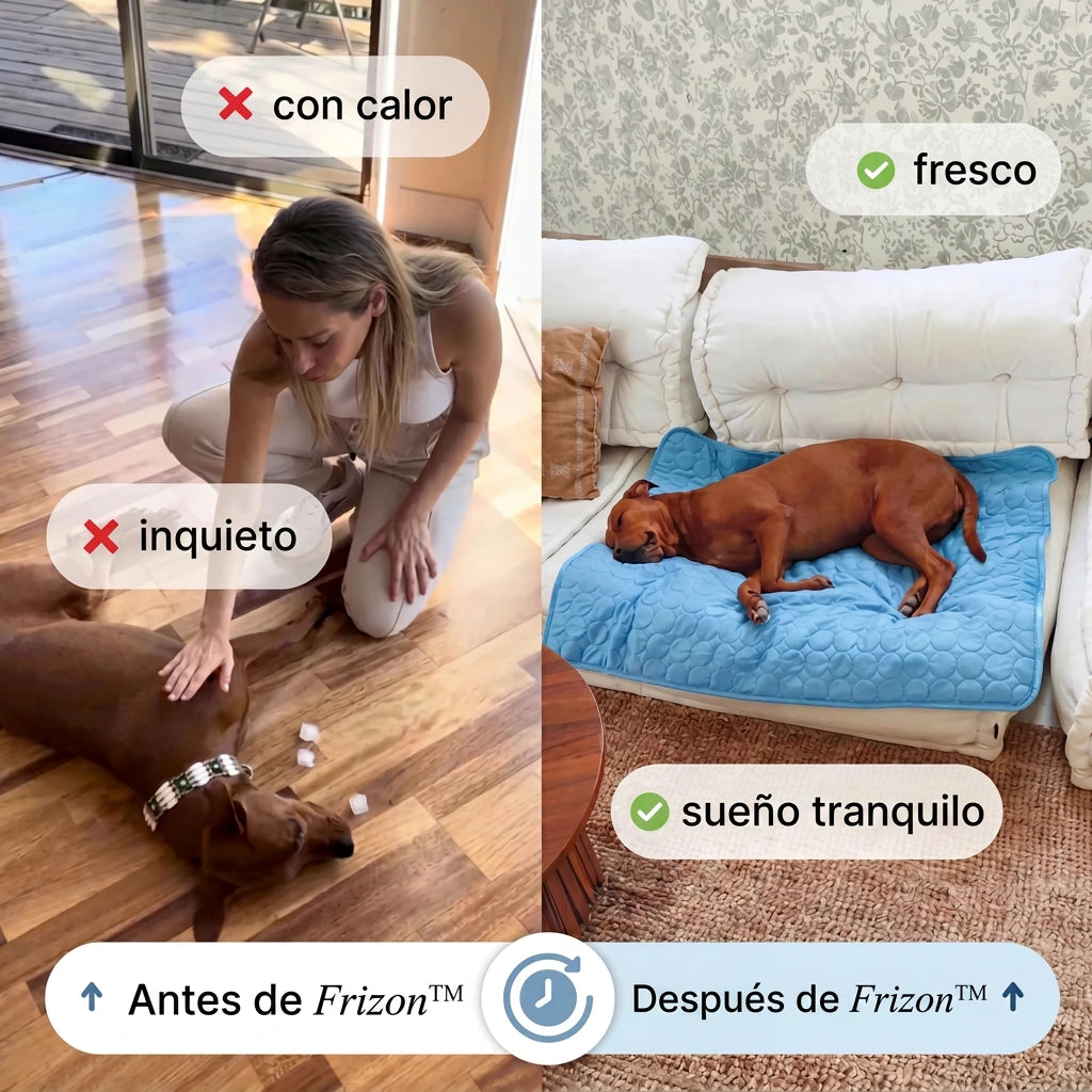 Frizon™ - Alfombrilla refrescante para perros