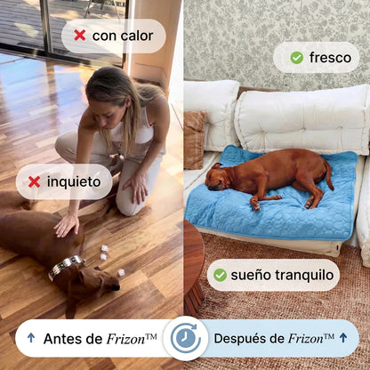 Frizon™ - Alfombrilla refrescante para perros