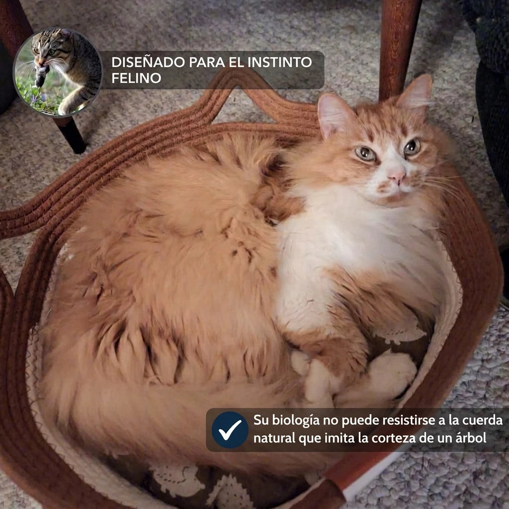 Nidora™ - nido de territorio natural tejido a mano para gatos de interior