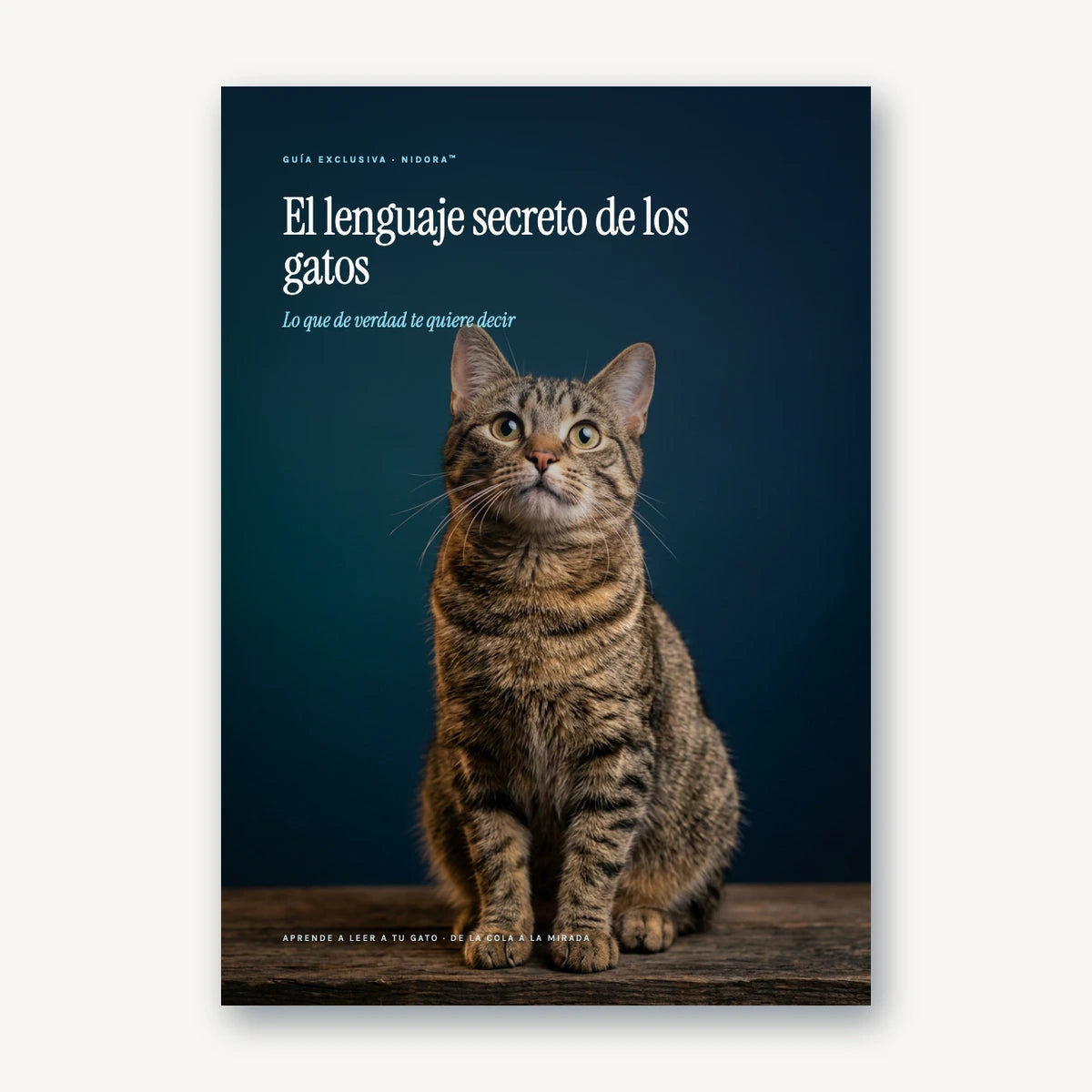 El lenguaje secreto de los gatos - e-book de regalo Nidora