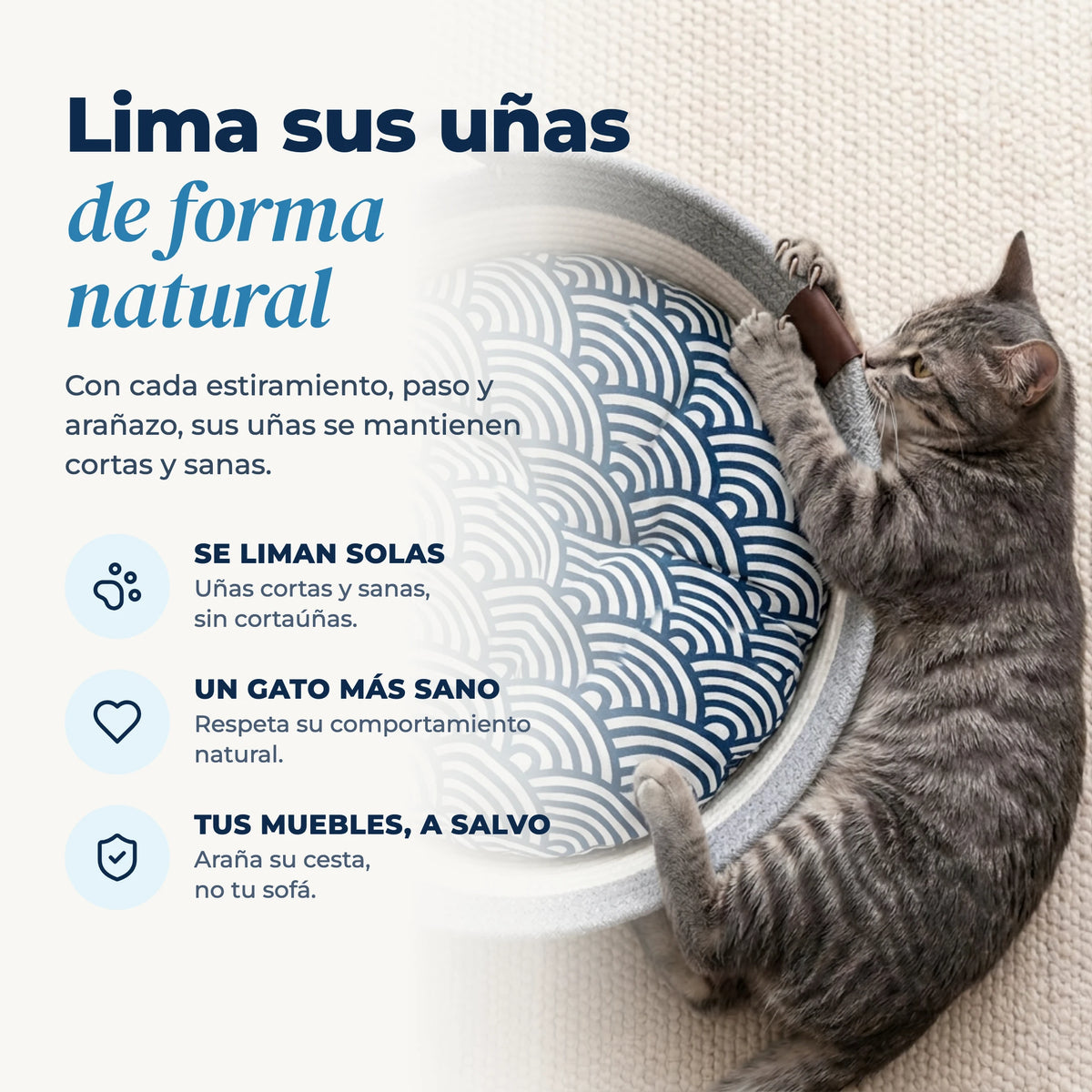 Gato limando sus uñas de forma natural en la cesta Nidora