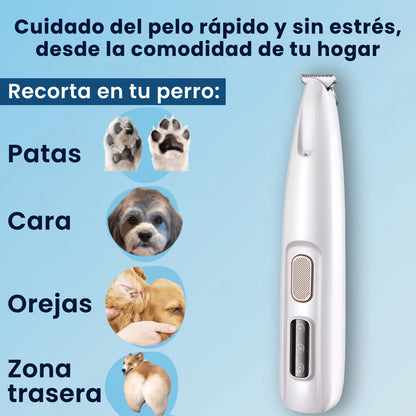 Patora recorta el pelo de patas, cara, orejas y zona trasera de tu perro