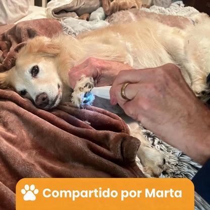 Clienta usando Patora en la pata de su perro en casa