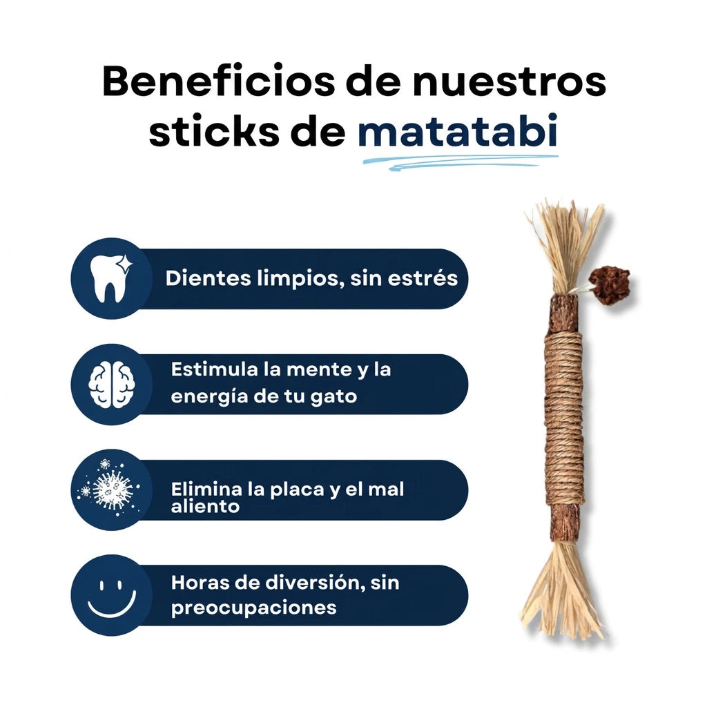 Beneficios de los sticks dentales de matatabi Felora para gatos