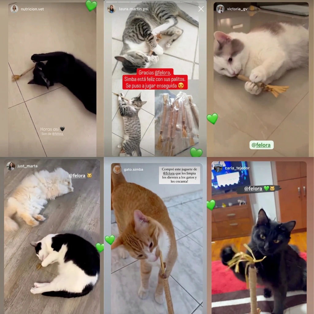 Reseñas de clientes en Instagram
