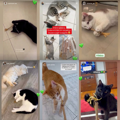 Reseñas de clientes en Instagram